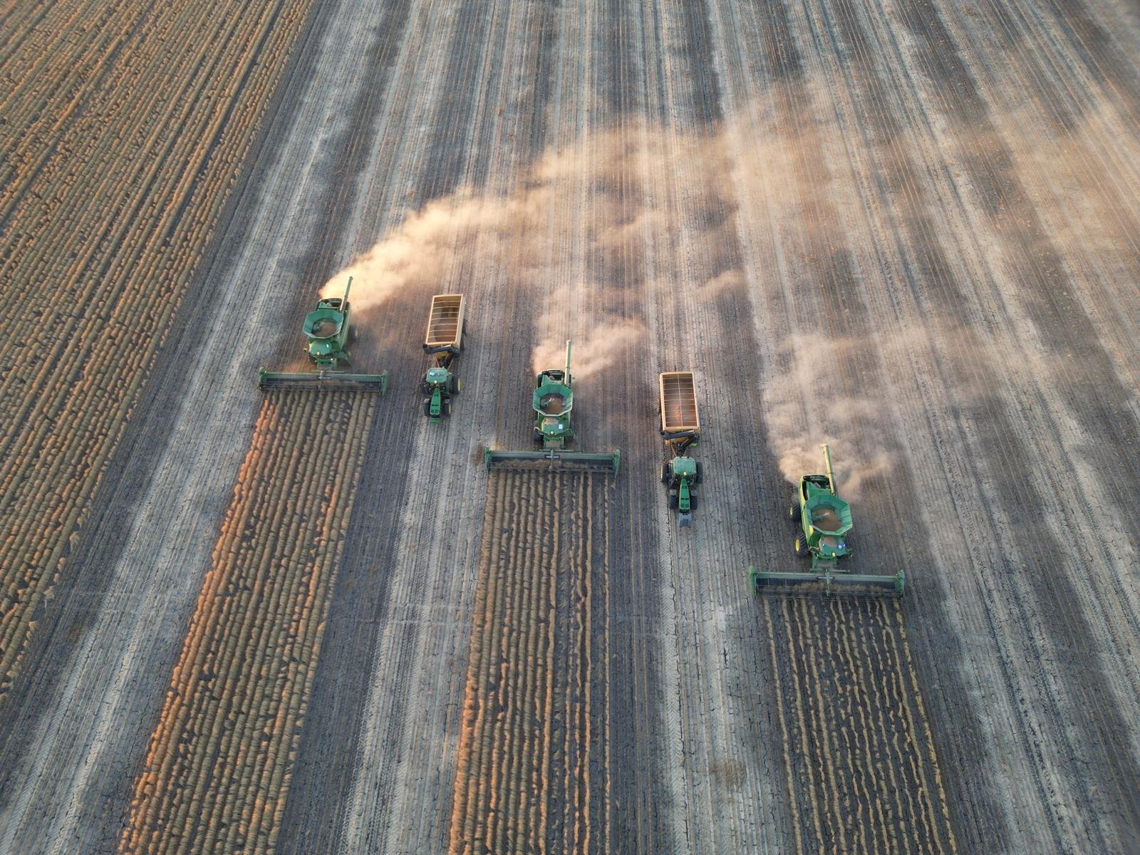 Fleet of harvesters working into the sunset